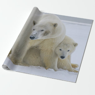 PAPEL DE PRESENTE MÃE DE URSO POLAR E NORTE DE CUB ALASKA