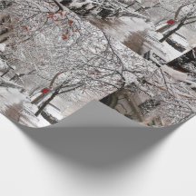 Mágica de neve na 23ª Rua NYC