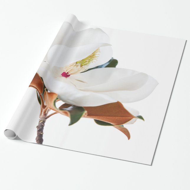 Papel De Presente Magnolia Flor Magnésio Flor (Desenrolado)