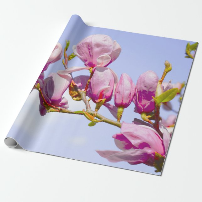 Papel De Presente Magnolia Flores Florais Flor Blossom Chic Wr (Desenrolado)
