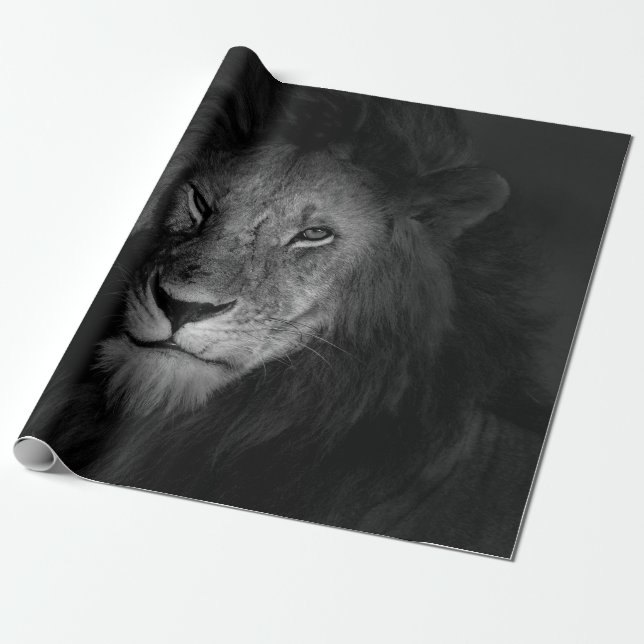 PAPEL DE PRESENTE MALE LION (Desenrolado)