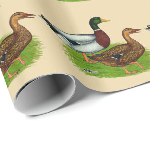 Papel De Presente Mallard Drake e Duck