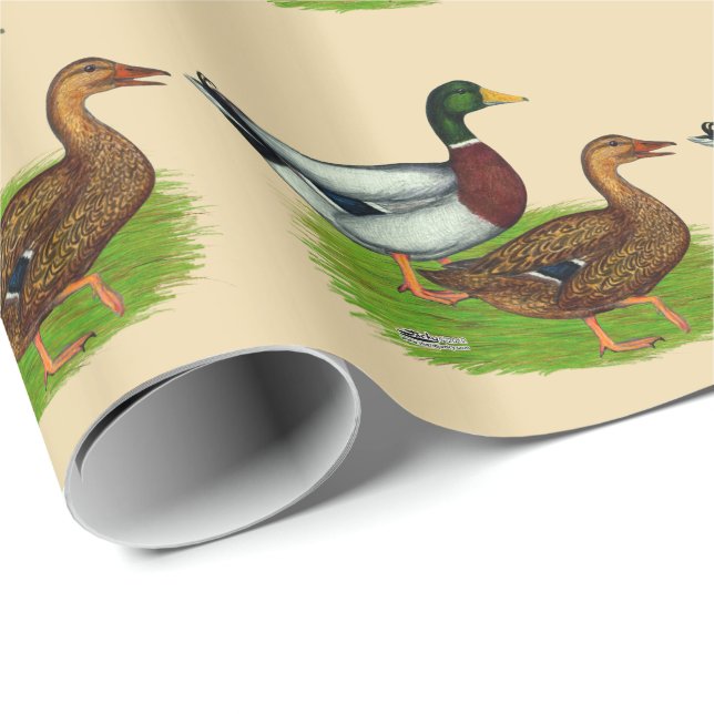 Papel De Presente Mallard Drake e Duck (Ponta do rolo)