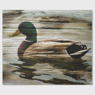 Papel De Presente Mallard Duck