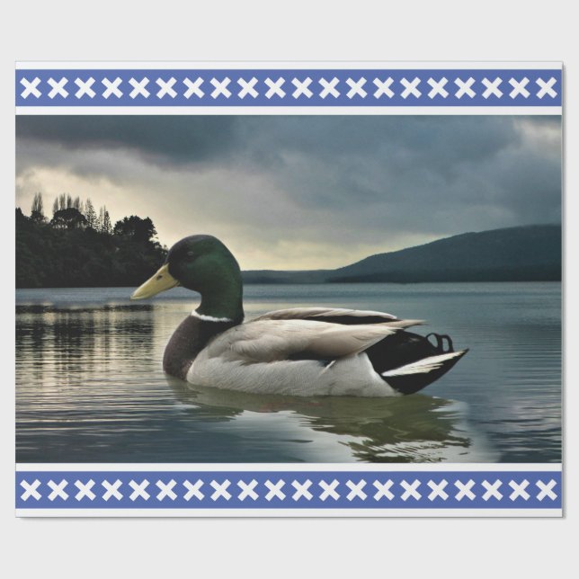Papel De Presente Mallard Duck (Aberto)