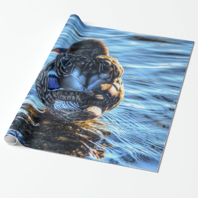 Papel De Presente Mallard Duck no Rio do inverno - Foto da vida selv (Desenrolado)