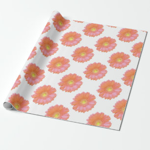 Papel De Presente Margarida alaranjada do gerbera