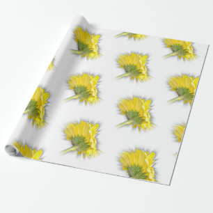 Papel De Presente margarida amarela