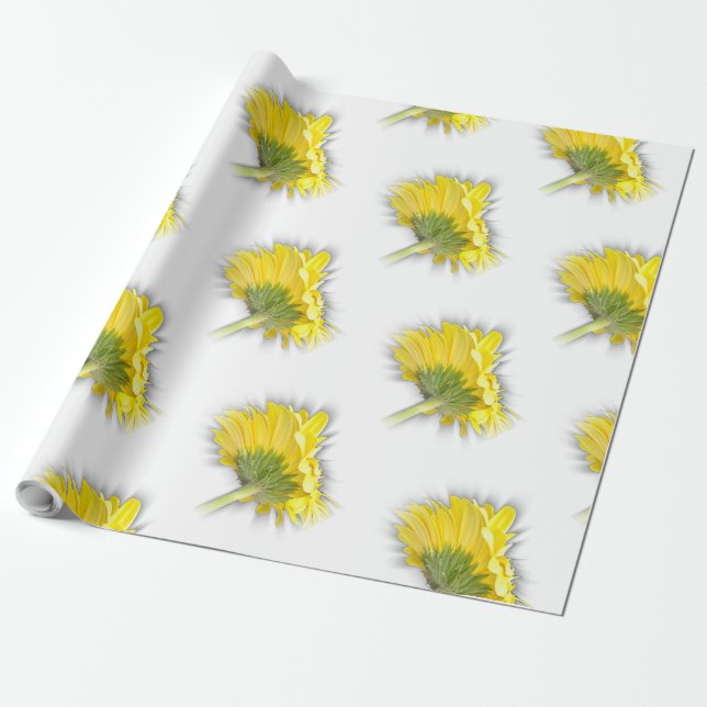 Papel De Presente margarida amarela (Desenrolado)
