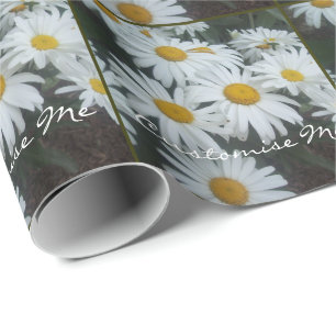 Papel De Presente Margaridas selvagens
