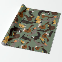 Papel De Presente Marten species  of the world