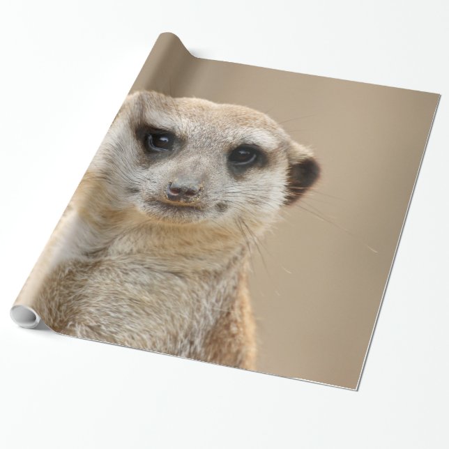 Papel De Presente Meerkat_2015_0211 (Desenrolado)