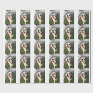 Papel De Presente Meias de cachorrinho