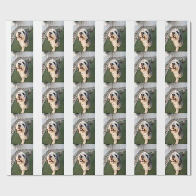 Papel De Presente Meias de cachorrinho (Aberto)