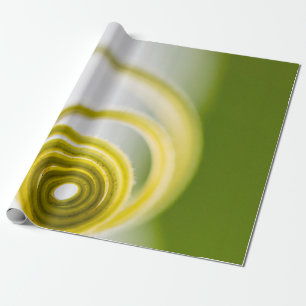 Papel De Presente Micro fotografia do caule vegetal