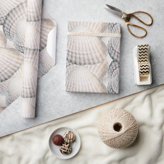 Papel De Presente Mikitiez Summer Vvenus Shell Beach (Artesanato)