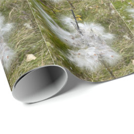 Papel De Presente Milkweed | Borboleta |