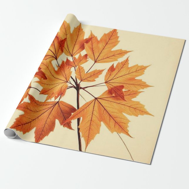Papel De Presente Minimalist Maple Leaves Art – Botanical Print (Desenrolado)