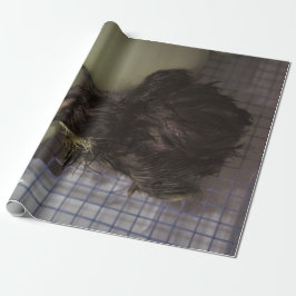 Papel De Presente Minutos velhos