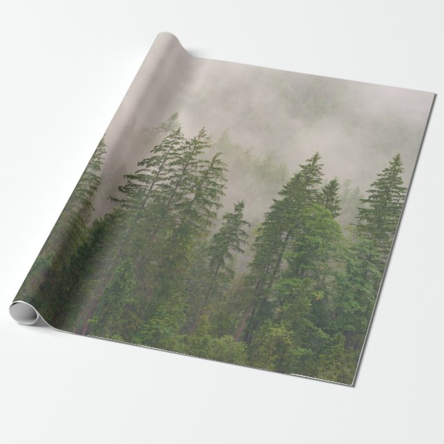 Papel De Presente Misty Foggy Forest Trees (Desenrolado)