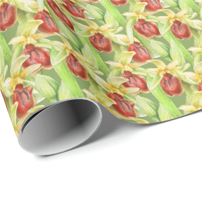 Papel De Presente Moldura de cor da água da orquídea vermelha verde (Ponta do rolo)