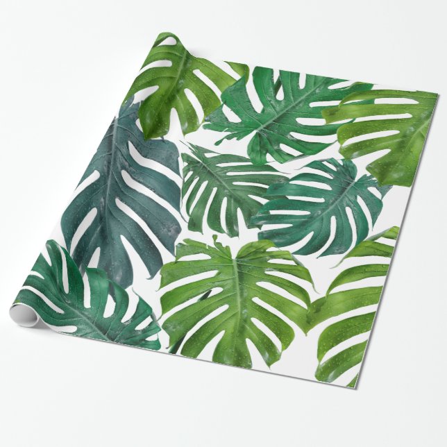 Papel De Presente Monstera Palm - Folhas Tropicais Verdes (Desenrolado)
