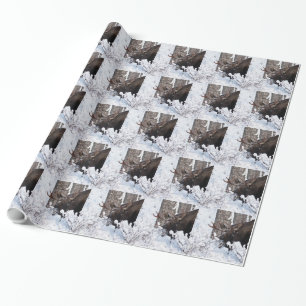 Papel De Presente Mose Infantil