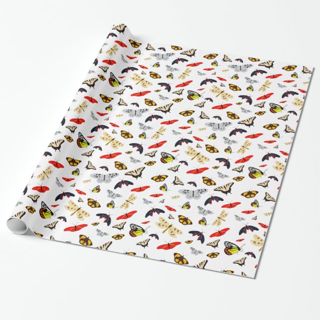 Papel De Presente Muitas criaturas das asas Thunder_Cove (Desenrolado)