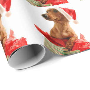 Papel De Presente Muito um Natal de Doxie