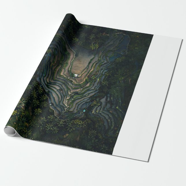Papel De Presente musgo verde na rocha negra (Desenrolado)