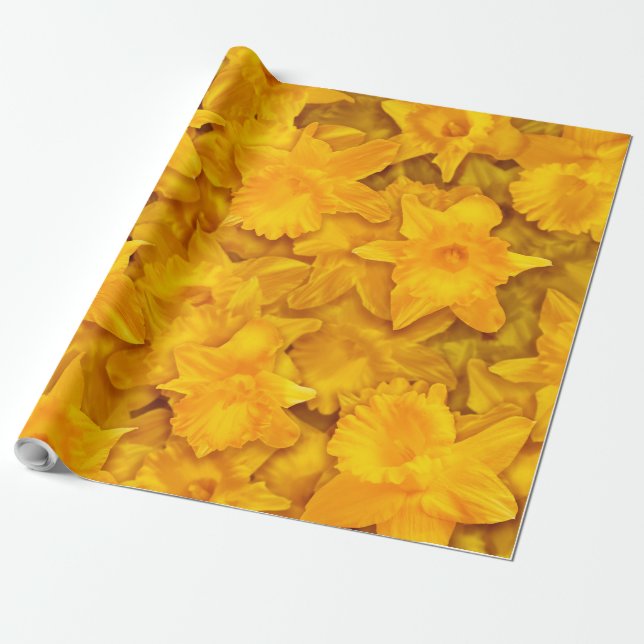 Papel De Presente Narcissus Flowers (Desenrolado)