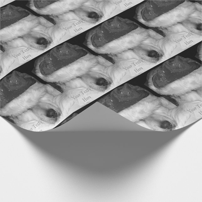 Papel De Presente Natal adormecido dos cones bonitos do chapéu do (Ponta)