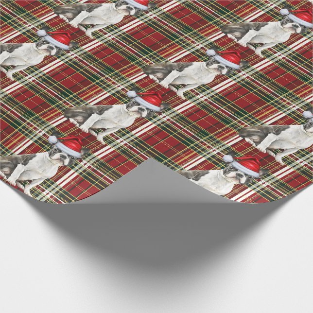 Papel De Presente Natal da Xadrez Verde Vermelha de Boston Terrier D (Ponta)