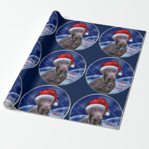 Papel De Presente Natal de labrador retriever do chocolate