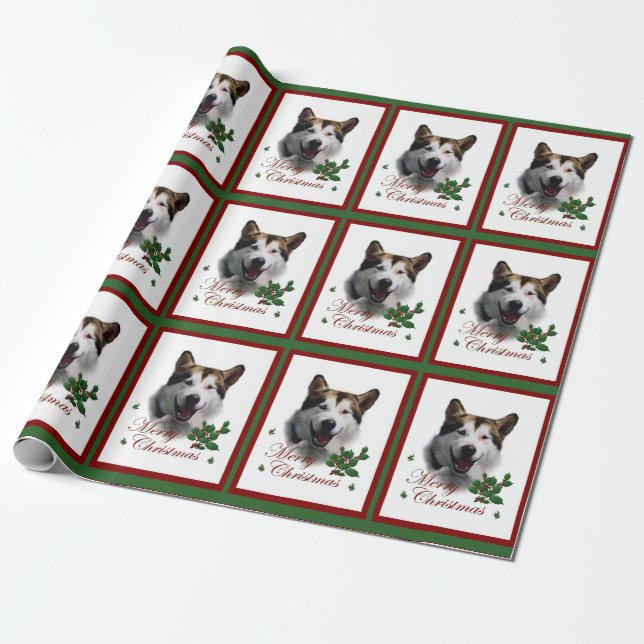 Papel De Presente Natal do Alasca de Malaute (Desenrolado)