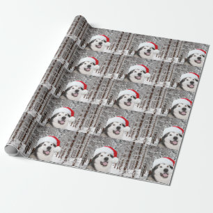 Papel De Presente Natal do Malamute do Alasca