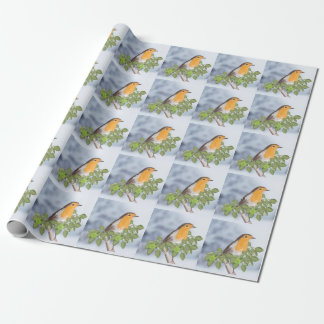 Papel De Presente Natal tradicional Robin e Ivy