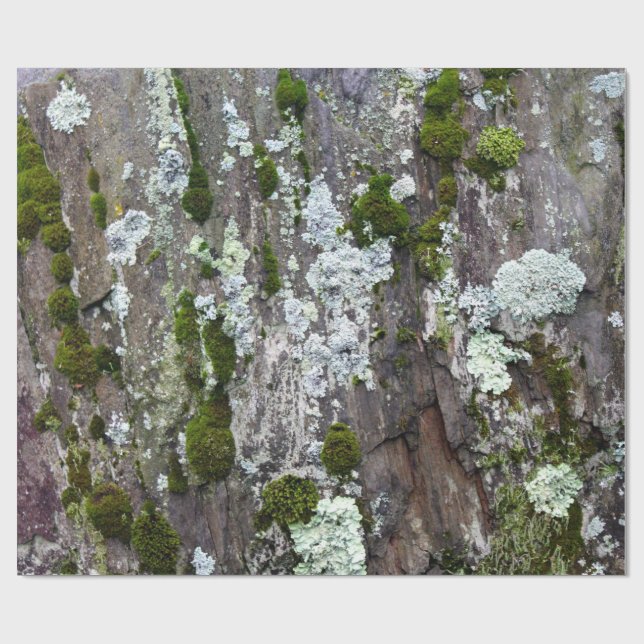 Papel De Presente Nature Moss Lichen Camouflage Foto (Aberto)