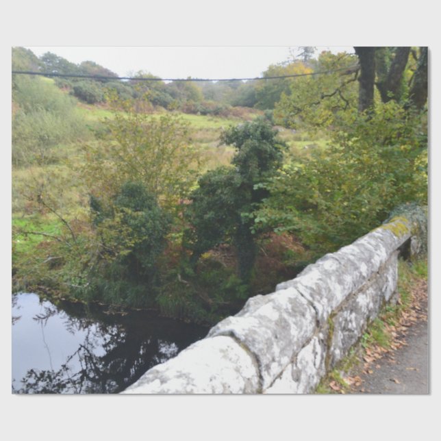 Papel De Presente nature way of impersonating animals (Aberto)