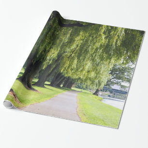 Papel De Presente Nature Willow River Pathway Foto