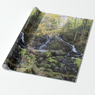 Papel De Presente Natureza