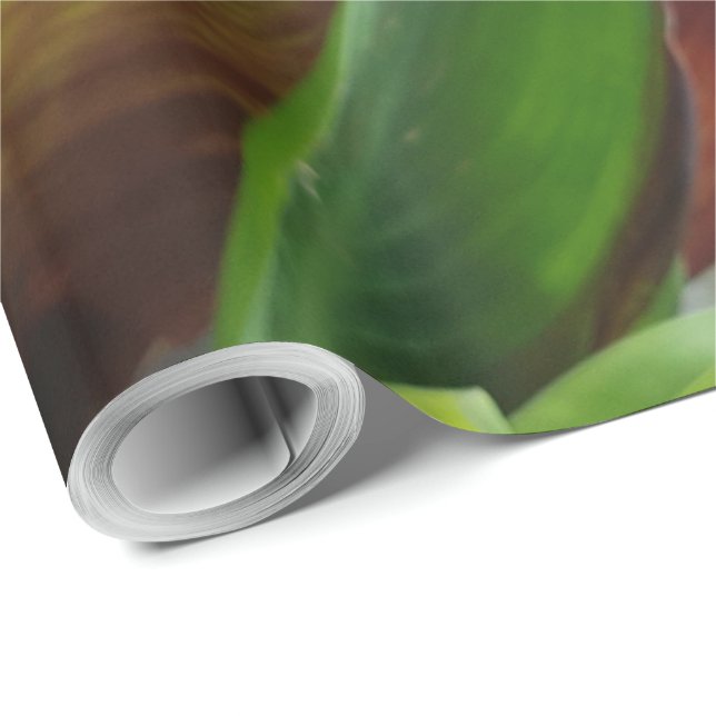 Papel De Presente Natureza Red Flower Floral Fotografia (Ponta do rolo)