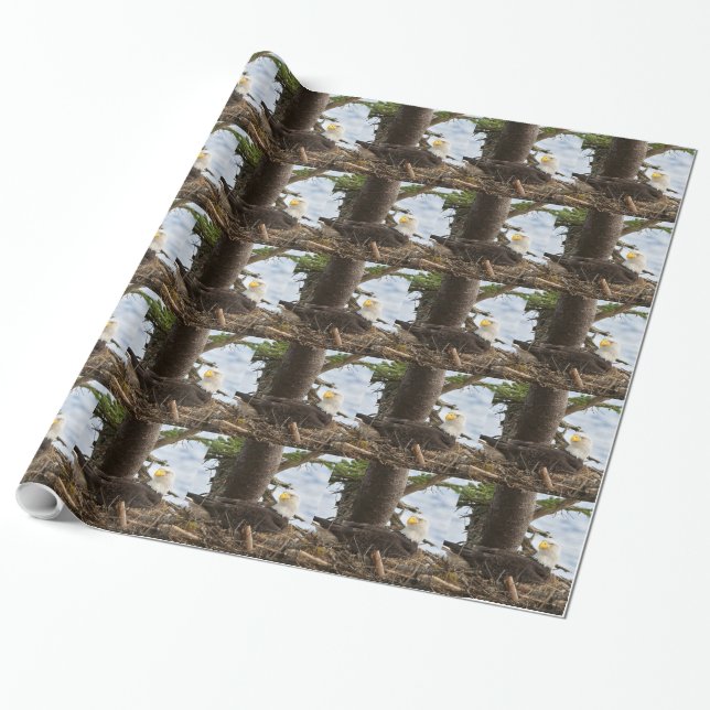 Papel De Presente Nesting Bald Eagle (Desenrolado)