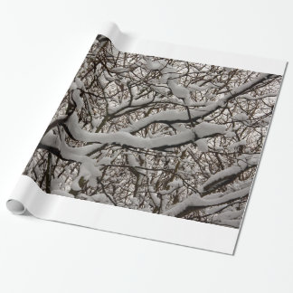 Papel De Presente Neve coberta por galhos de árvores