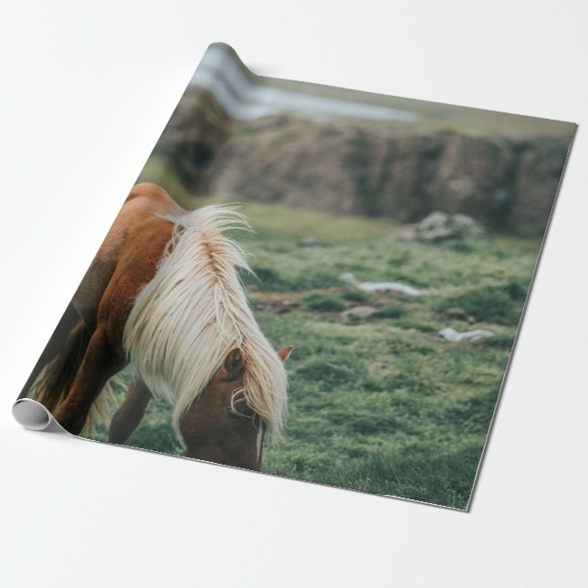 PAPEL DE PRESENTE NICE HORSE (Desenrolado)