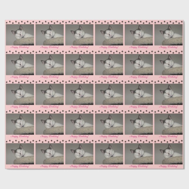 Papel De Presente Noite e impressões de pata de gato (Aberto)