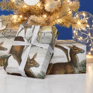 Papel De Presente Nome Personalizado Red Deer Hart, Hind, Roebuck Mu
