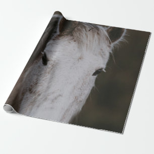PAPEL DE PRESENTE NOVA FLORESTA PONY