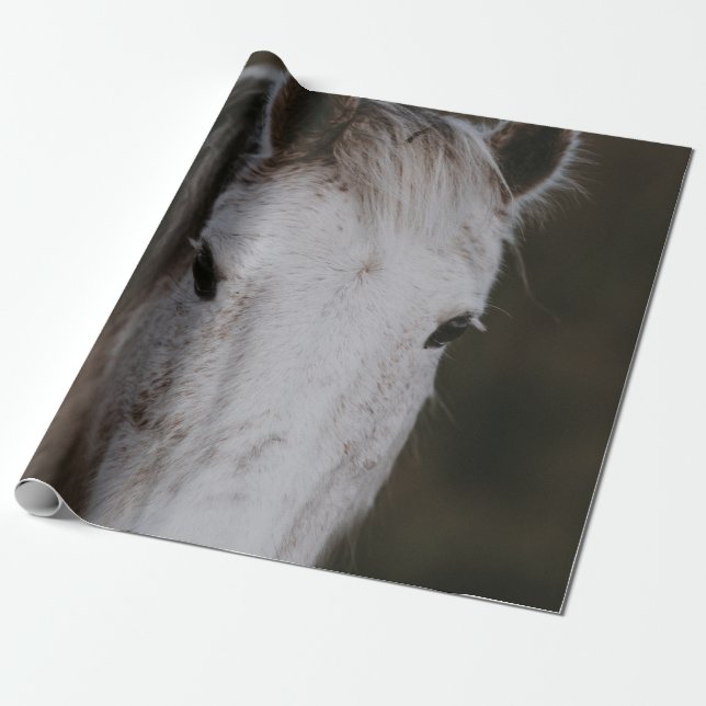 PAPEL DE PRESENTE NOVA FLORESTA PONY (Desenrolado)