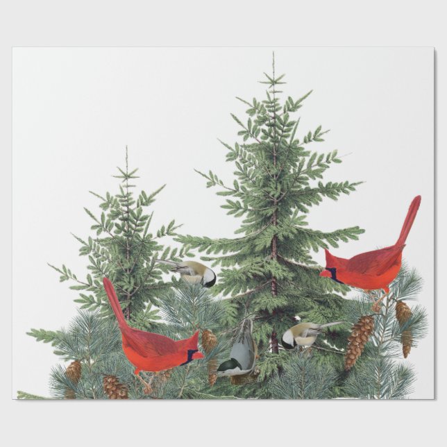 Papel De Presente Nuthatch Cardinal Chickadee Forest (Aberto)